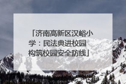 济南高新区汉峪小学：民法典进校园 构筑校园安全防线
