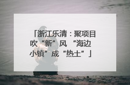浙江乐清：聚项目吹“新”风 “海边小镇”成“热土”