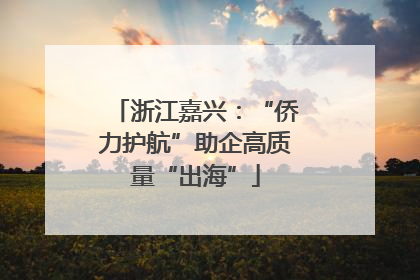浙江嘉兴：“侨力护航”助企高质量“出海”