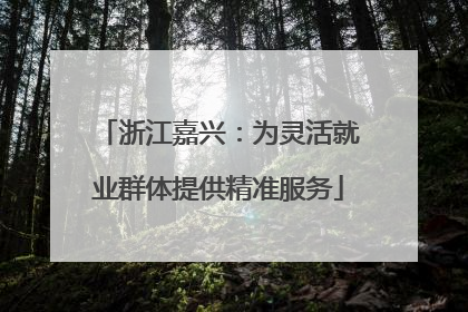 浙江嘉兴：为灵活就业群体提供精准服务