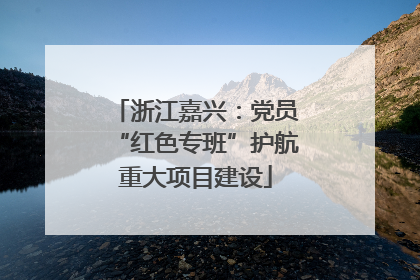 浙江嘉兴：党员“红色专班”护航重大项目建设