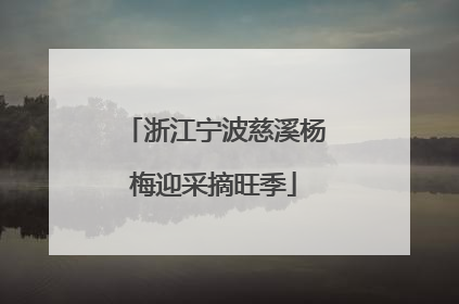浙江宁波慈溪杨梅迎采摘旺季