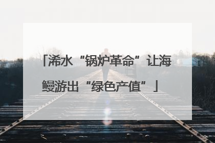浠水“锅炉革命”让海鳗游出“绿色产值”