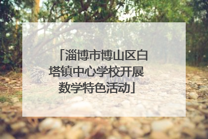 淄博市博山区白塔镇中心学校开展数学特色活动