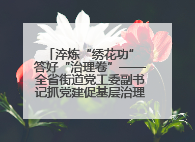 淬炼“绣花功” 答好“治理卷”——全省街道党工委副书记抓党建促基层治理培训示范班侧记