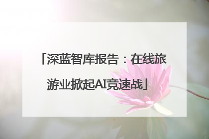 深蓝智库报告：在线旅游业掀起AI竞速战