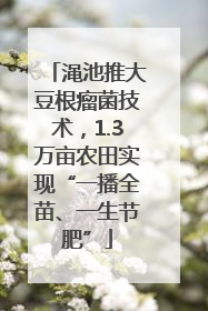 渑池推大豆根瘤菌技术，1.3万亩农田实现“一播全苗、一生节肥”