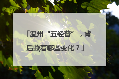 温州“五经普”，背后藏着哪些变化？