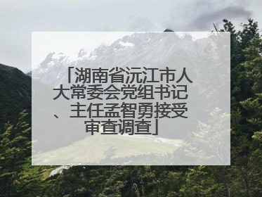 湖南省沅江市人大常委会党组书记、主任孟智勇接受审查调查