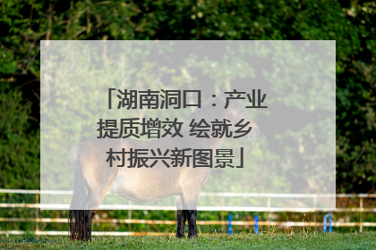 湖南洞口：产业提质增效 绘就乡村振兴新图景