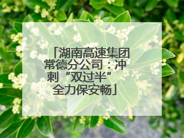 湖南高速集团常德分公司：冲刺“双过半” 全力保安畅