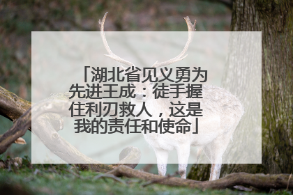 湖北省见义勇为先进王成：徒手握住利刃救人，这是我的责任和使命