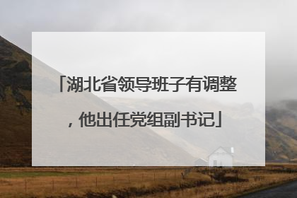 湖北省领导班子有调整，他出任党组副书记
