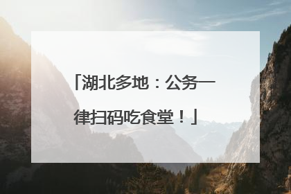 湖北多地：公务一律扫码吃食堂！
