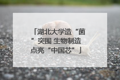 湖北大学造“菌”突围 生物制造点亮“中国芯”