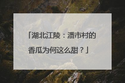 湖北江陵：潘市村的香瓜为何这么甜？
