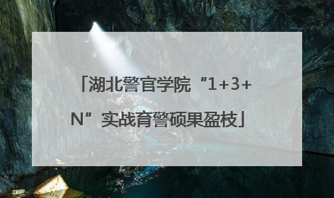 湖北警官学院“1+3+N”实战育警硕果盈枝
