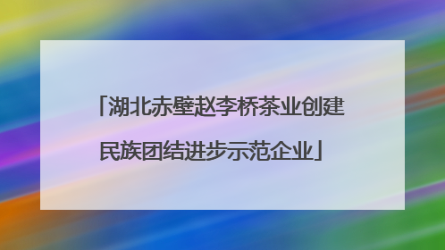 湖北赤壁赵李桥茶业创建民族团结进步示范企业