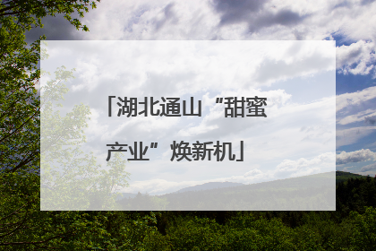 湖北通山“甜蜜产业”焕新机