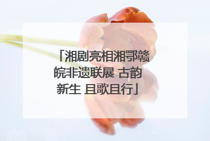 湘剧亮相湘鄂赣皖非遗联展 古韵新生 且歌且行