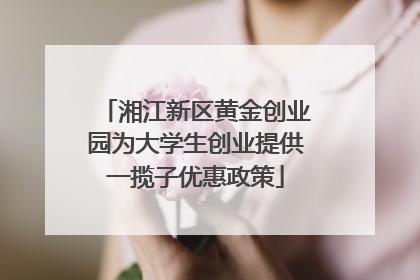 湘江新区黄金创业园为大学生创业提供一揽子优惠政策