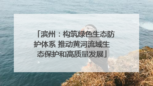 滨州：构筑绿色生态防护体系 推动黄河流域生态保护和高质量发展