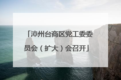 漳州台商区党工委委员会（扩大）会召开