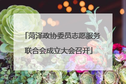 菏泽政协委员志愿服务联合会成立大会召开