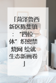 菏泽鲁西新区陈集镇：“四位一体”织密禁烧网 绘就生态新画卷