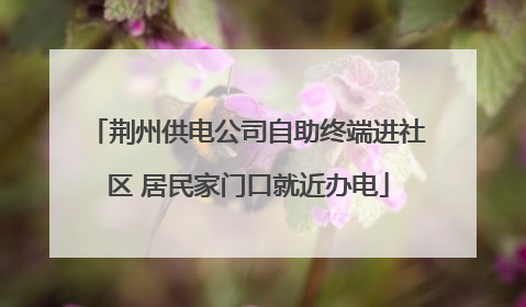 荆州供电公司自助终端进社区 居民家门口就近办电