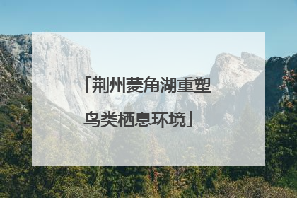 荆州菱角湖重塑鸟类栖息环境