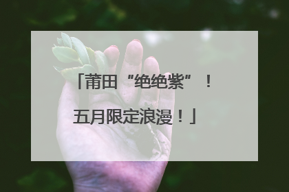 莆田“绝绝紫”！五月限定浪漫！
