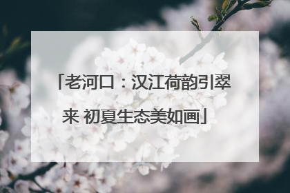 老河口：汉江荷韵引翠来 初夏生态美如画