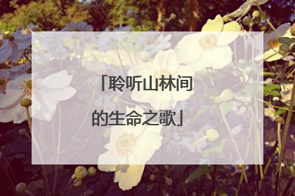 聆听山林间的生命之歌