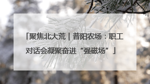 聚焦北大荒｜普阳农场：职工对话会凝聚奋进“强磁场”