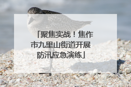 聚焦实战！焦作市九里山街道开展防汛应急演练