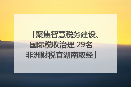 聚焦智慧税务建设、国际税收治理 29名非洲财税官湖南取经