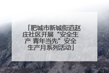 肥城市新城街道赵庄社区开展“安全生产 青年当先”安全生产月系列活动