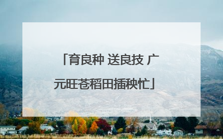 育良种 送良技 广元旺苍稻田插秧忙
