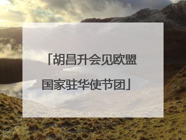 胡昌升会见欧盟国家驻华使节团