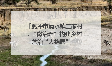 腾冲市清水镇三家村：“微治理”构建乡村善治“大格局”