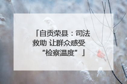 自贡荣县：司法救助 让群众感受“检察温度”