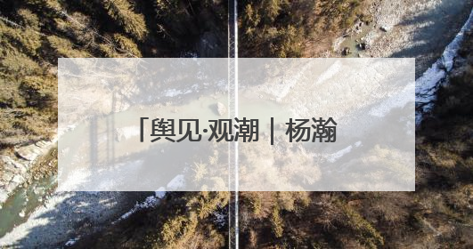 舆见·观潮｜杨瀚森、张子宇：齐鲁篮坛“双星”耀目，期许与挑战并存
