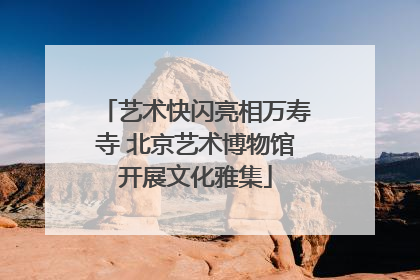 艺术快闪亮相万寿寺 北京艺术博物馆开展文化雅集