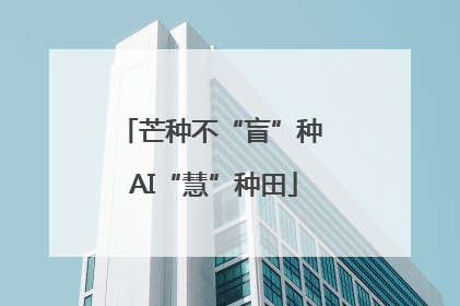 芒种不“盲”种 AI“慧”种田