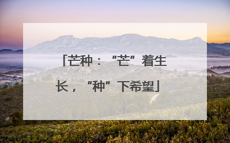 芒种：“芒”着生长，“种”下希望