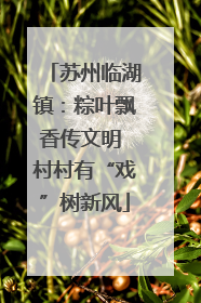苏州临湖镇：粽叶飘香传文明 村村有“戏”树新风