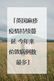 英国麻疹疫情持续蔓延 今年来伦敦病例数最多