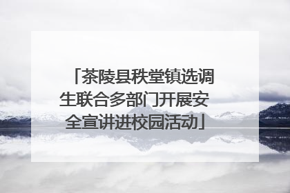 茶陵县秩堂镇选调生联合多部门开展安全宣讲进校园活动