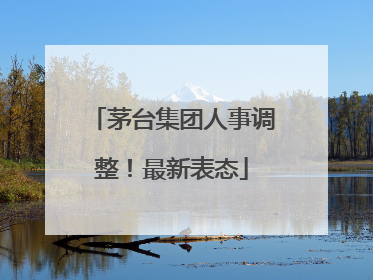 茅台集团人事调整！最新表态